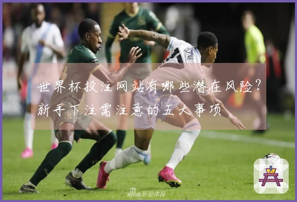 世界杯投注网站有哪些潜在风险？新手下注需注意的五大事项