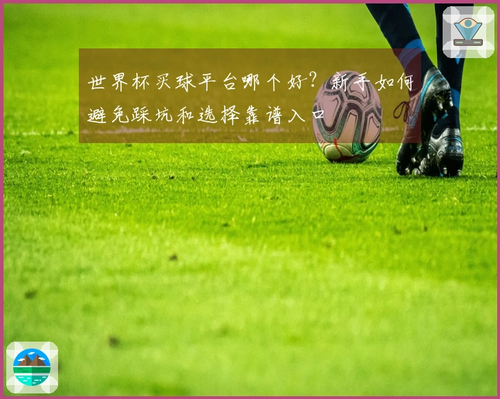 世界杯买球平台哪个好？新手如何避免踩坑和选择靠谱入口