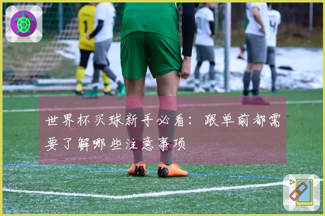 世界杯买球新手必看：跟单前都需要了解哪些注意事项