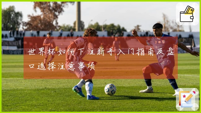 世界杯如何下注新手入门指南及盘口选择注意事项