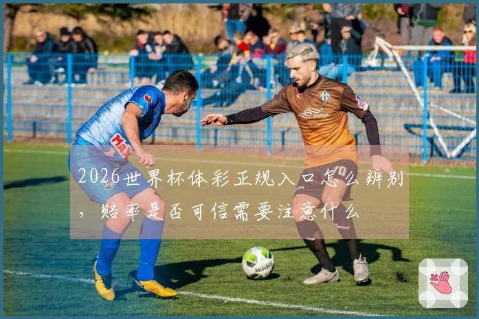 2026世界杯体彩正规入口怎么辨别，赔率是否可信需要注意什么