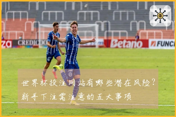 世界杯投注网站有哪些潜在风险？新手下注需注意的五大事项