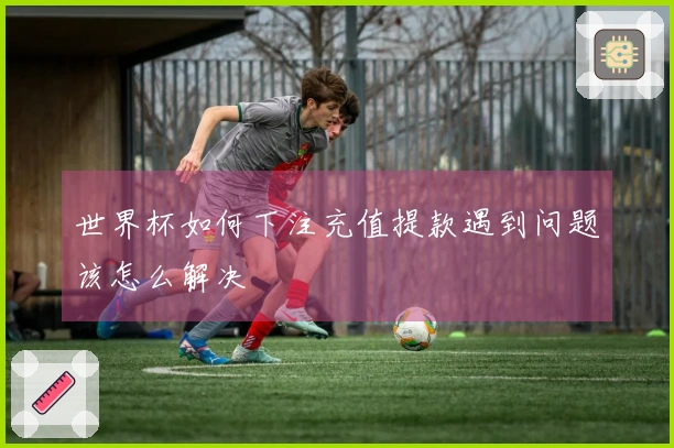 世界杯如何下注充值提款遇到问题该怎么解决