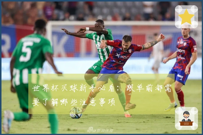 世界杯买球新手必看：跟单前都需要了解哪些注意事项